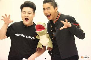 吃瓜娱乐王大陆,揭秘娱乐圈幕后故事